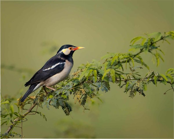 Comment les soins de podologie peuvent aider les diabétiques ?