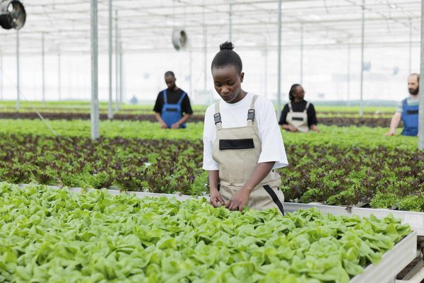 Quelles sont les meilleures méthodes pour mesurer les progrès de perte de poids en dehors de la balance ?
